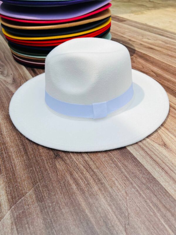 COLORED FEDORA HAT