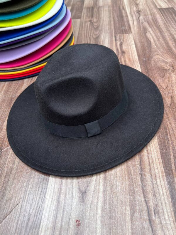 COLORED FEDORA HAT