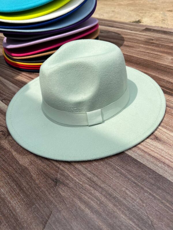 COLORED FEDORA HAT