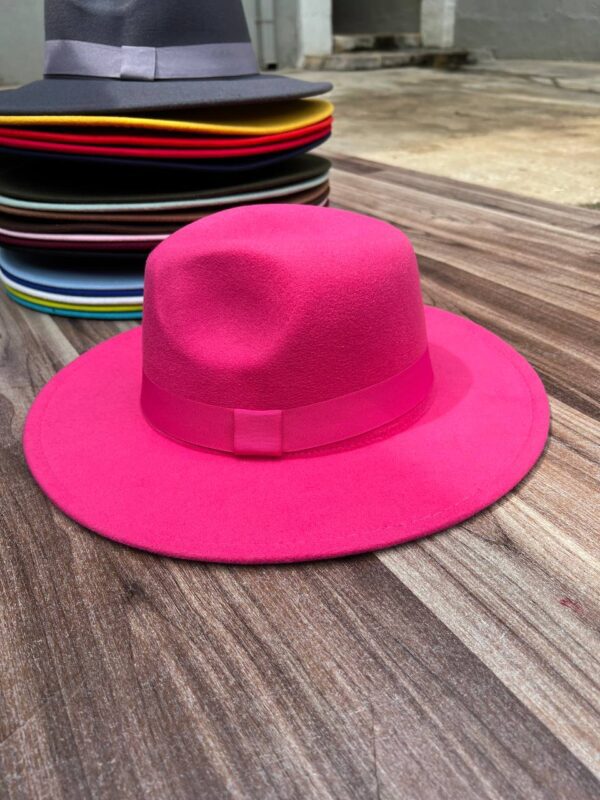 COLORED FEDORA HAT