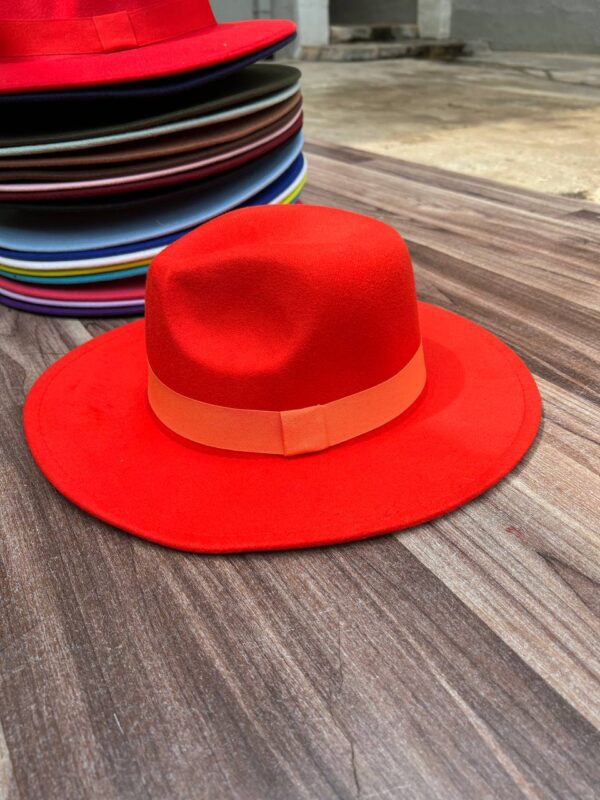 COLORED FEDORA HAT