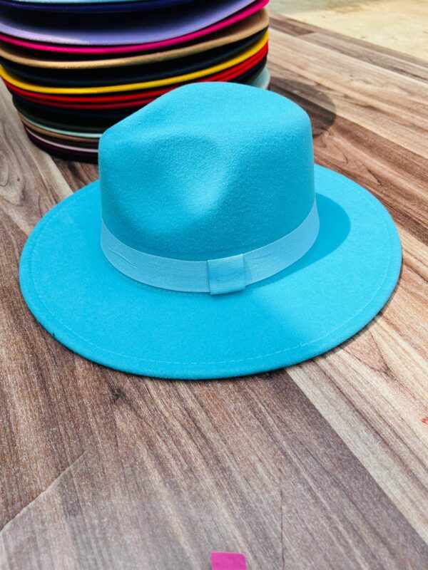 COLORED FEDORA HAT