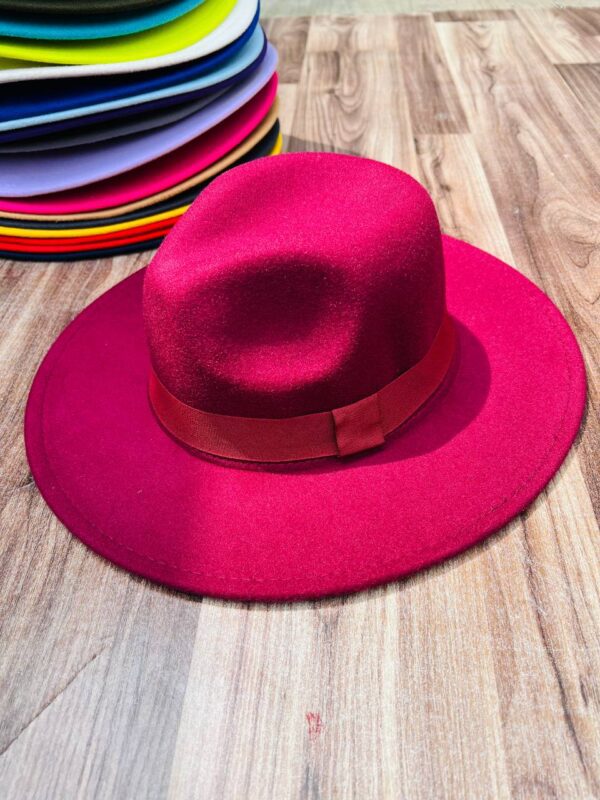 COLORED FEDORA HAT