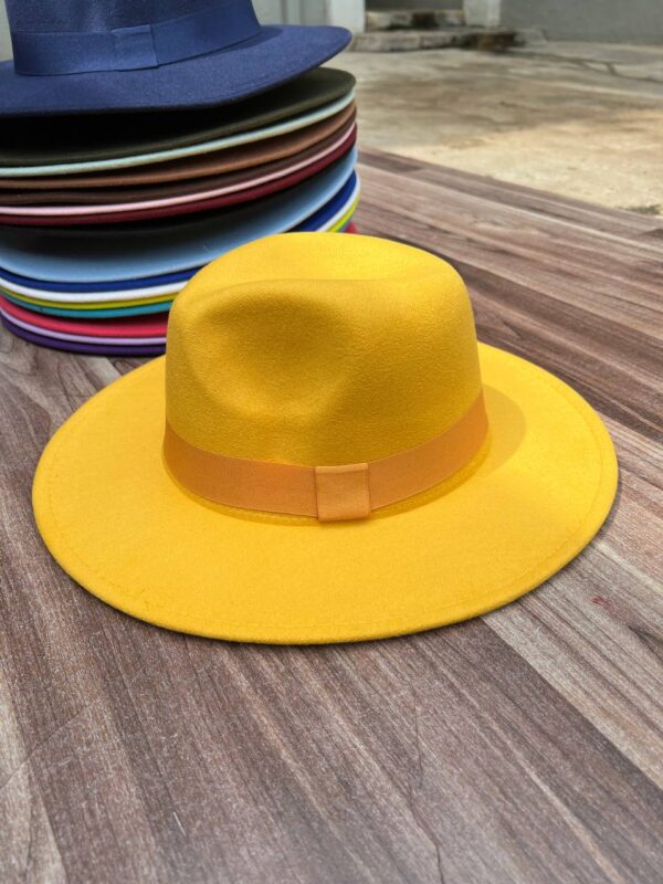 COLORED FEDORA HAT